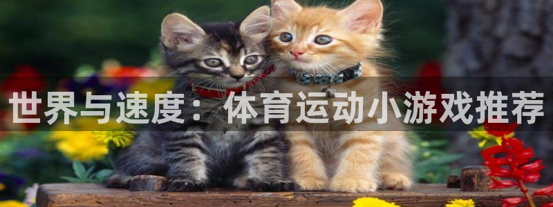 yy易游官网下载招商:世界与速度:体育运动小游戏推荐