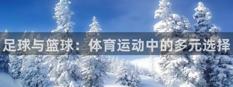 yy易游官方正版app集团简介:足球与篮球:体育运动中的多元