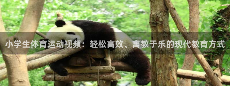 yy易游官网下载平台注册流程视频:小学生体育运动视频:轻松高