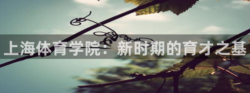 yy易游官网下载招商电话地址是多少:上海体育学院:新时期的育