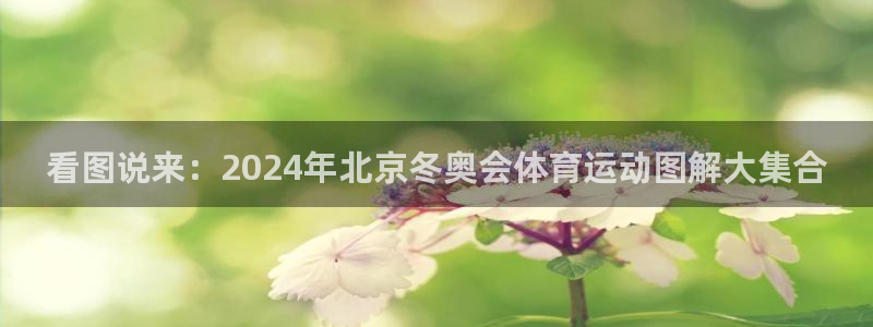 yy易游官方正版app娱乐下载:看图说来:2024年北京冬奥