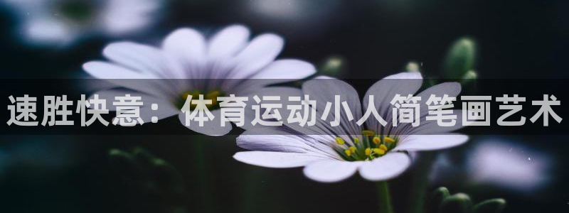 yy易游官方正版app代理:速胜快意:体育运动小人简笔画艺术